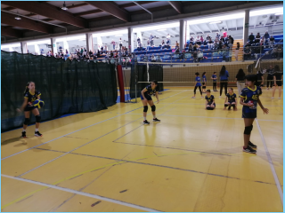 Volley.S3.Saronno.30.04.2023 (32).jpg